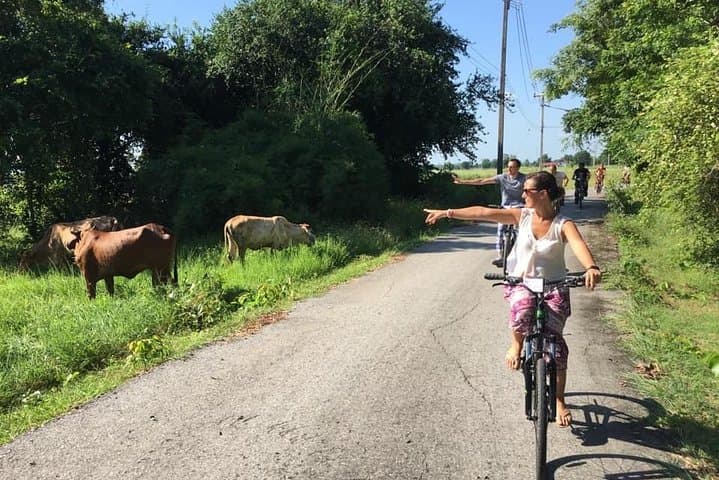 Sukhothai Full-Day Cycling Tour: Ruins, Rice Fields & Local Workshops photo 5