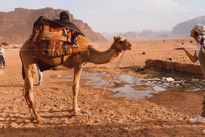 2-Hour Jeep Tour in Wadi Rum: Red Dunes, Khazali Canyon & Bedouin Tea photo 4