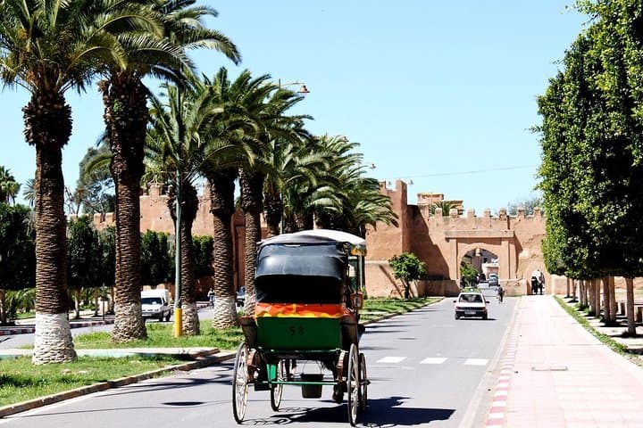 Taroudant & Tiout Day Trip from Agadir: Palm Groves, Kasbah Views & Berber Souks photo 5