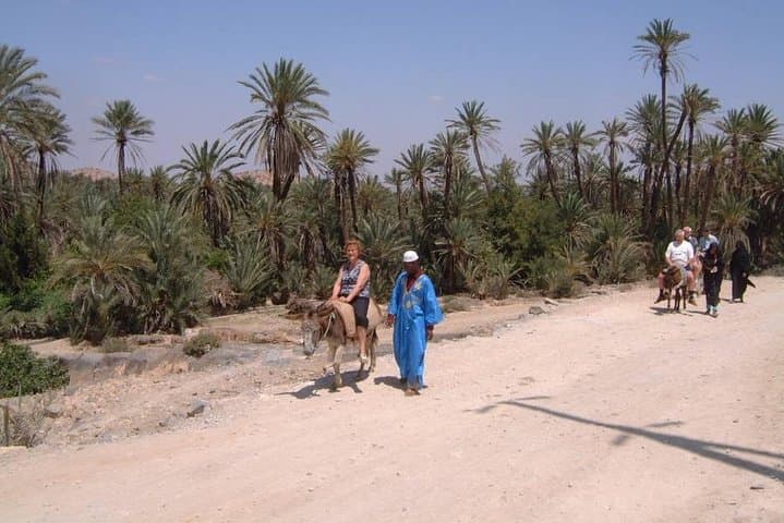Taroudant & Tiout Day Trip from Agadir: Palm Groves, Kasbah Views & Berber Souks photo 6