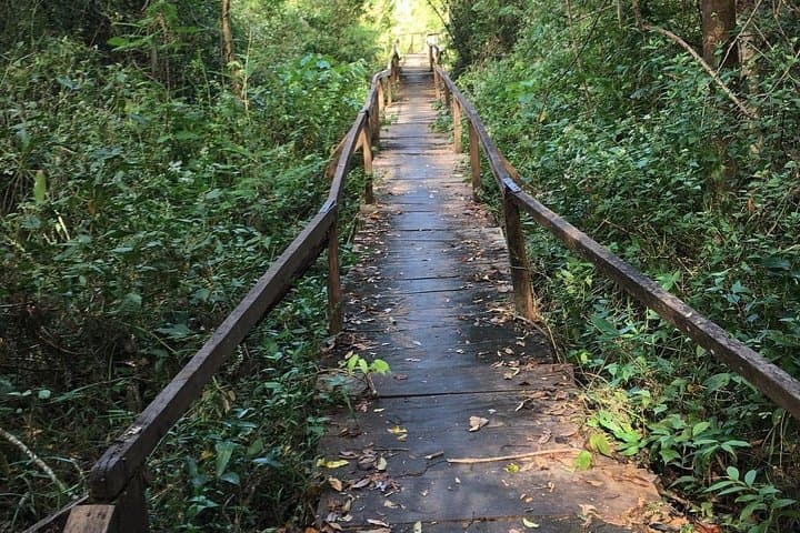Nam Cat Tien National Park 2-Day Wildlife & Night Safari from Ho Chi Minh City photo 6