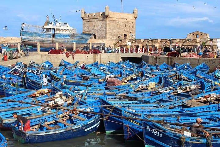 Essaouira Day Trip from Marrakech: Wind, Argan Co-ops & Medina Walk photo 3