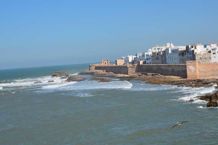 Essaouira Day Trip from Agadir — Argan Goats, Medina Strolls & Atlantic Beaches photo 2