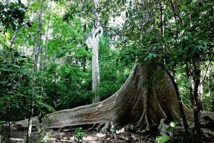 Nam Cat Tien National Park 2-Day Wildlife & Night Safari from Ho Chi Minh City photo 3