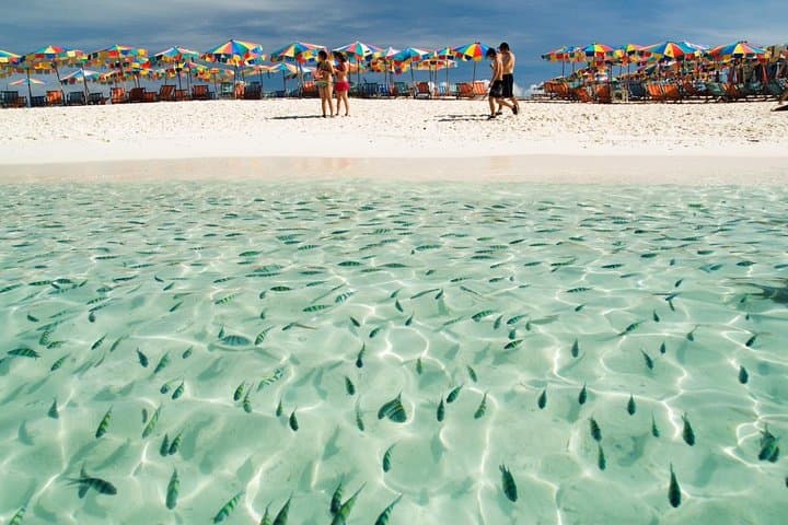 Phi Phi & Khai Island Speedboat Day Trip from Phuket — Snorkel, Maya Bay & Viewpoint photo 2