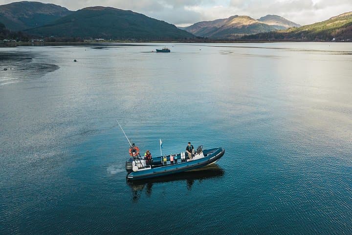 Half-Day Private RIB Hire: Northern Clyde & Sea Lochs Wildlife Cruise photo 2
