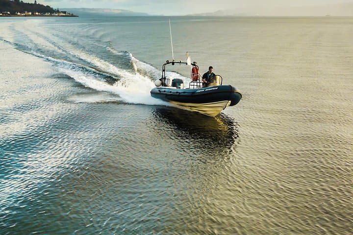 Half-Day Private RIB Hire: Northern Clyde & Sea Lochs Wildlife Cruise photo 3