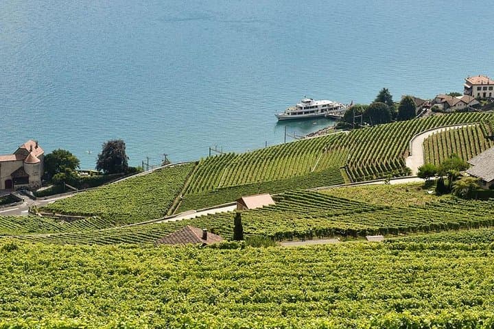 Private Wine Tasting at Lavaux Vineyards — Day Trip from Geneva photo 4