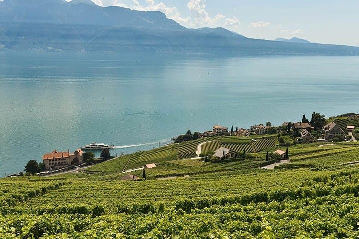 Private Wine Tasting at Lavaux Vineyards — Day Trip from Geneva photo 3