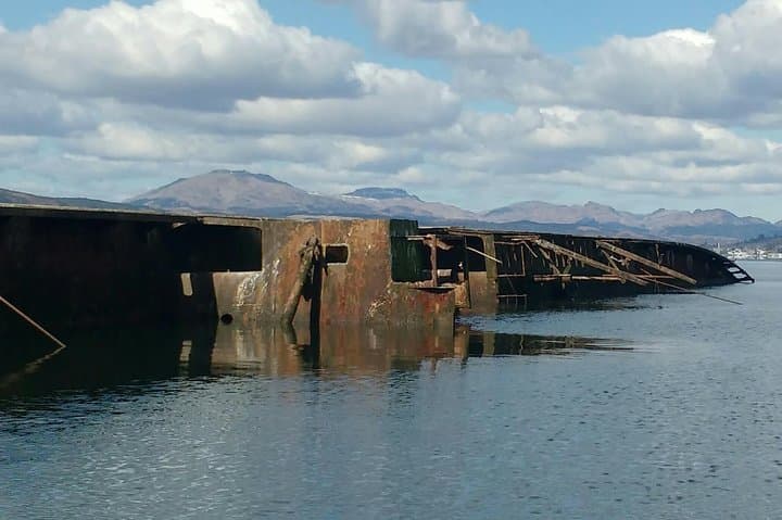 Half-Day Private RIB Hire: Northern Clyde & Sea Lochs Wildlife Cruise photo 4