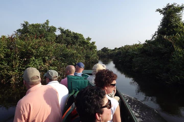 Birdwatchers Quest: Muthurajawela Wetlands Birding Tour from Colombo photo 1