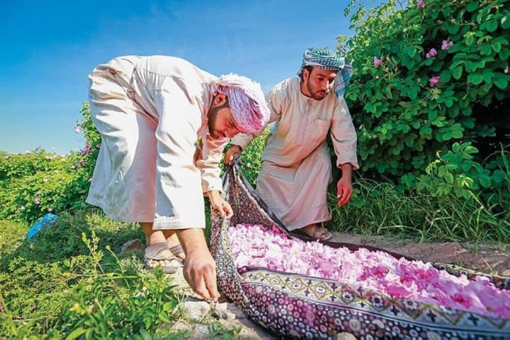 Jebel al Akhdar Day Trip: Rose Gardens, Balad Sayt & Diana's Point photo 1