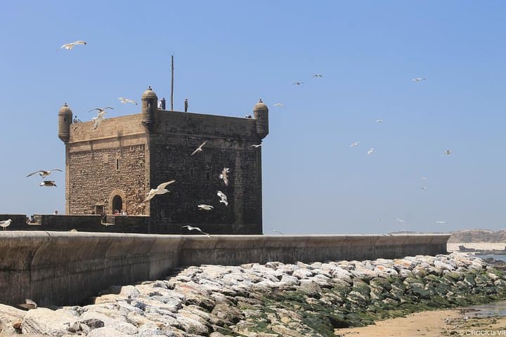 Essaouira Day Trip from Marrakech: Wind, Argan Co-ops & Medina Walk photo 4
