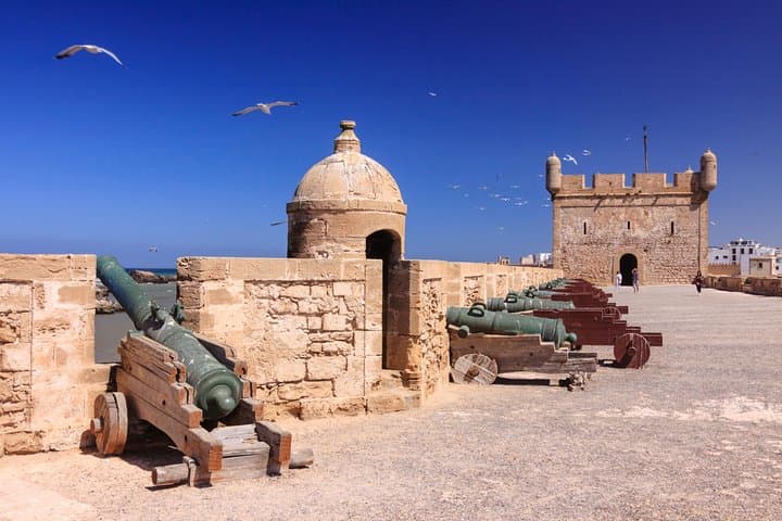 Essaouira Day Trip from Agadir — Argan Goats, Medina Strolls & Atlantic Beaches photo 4