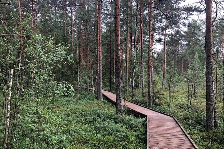 Exploring Lahemaa National Park: Viru Bog, Manors & Coastal Villages photo 4