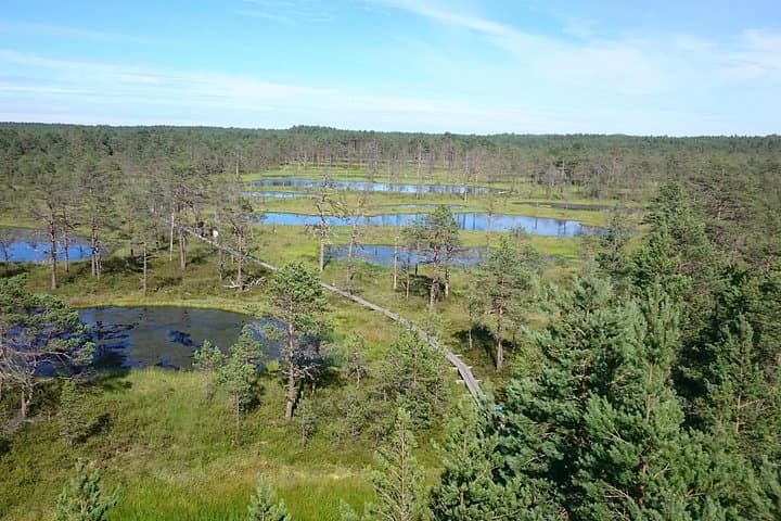 Exploring Lahemaa National Park: Viru Bog, Manors & Coastal Villages photo 5