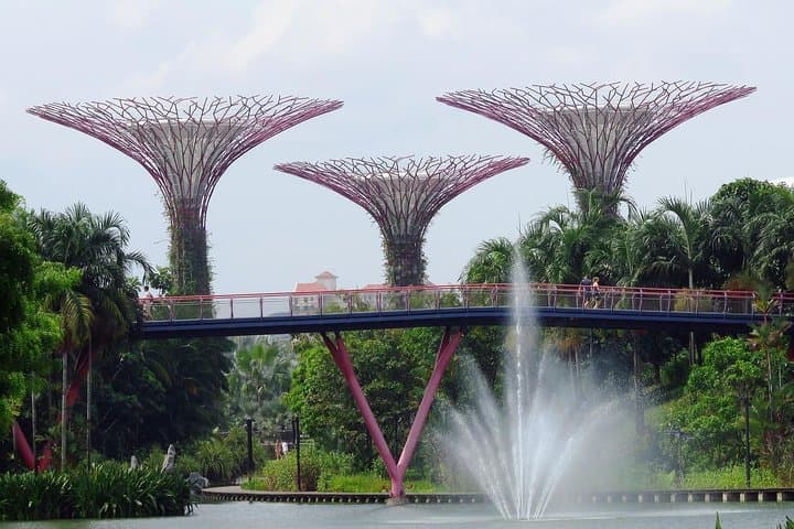 Gardens by the Bay Singapore: Cloud Forest & Flower Dome E-Ticket Guide photo 2