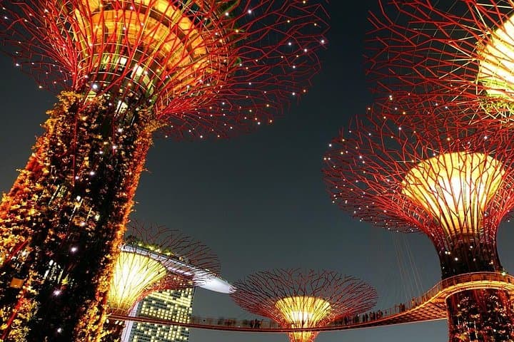 Gardens by the Bay Singapore: Cloud Forest & Flower Dome E-Ticket Guide photo 3