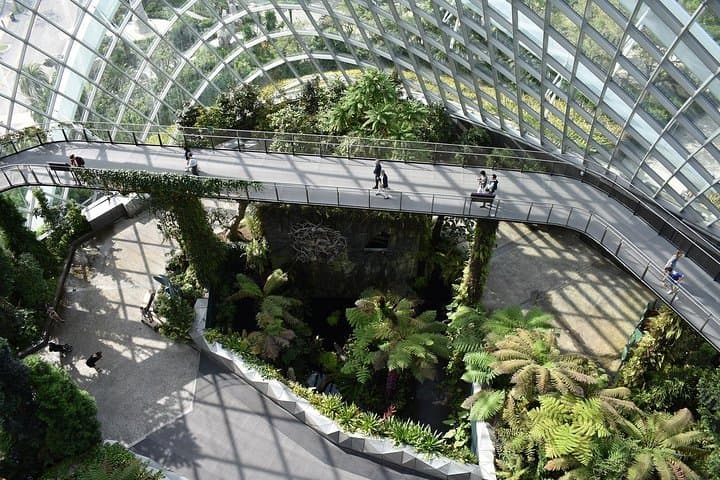 Gardens by the Bay Singapore: Cloud Forest & Flower Dome E-Ticket Guide photo 5