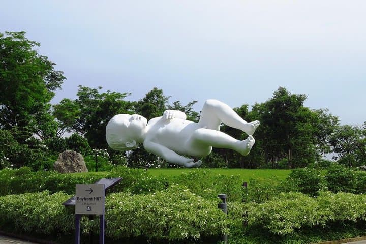 Gardens by the Bay Singapore: Cloud Forest & Flower Dome E-Ticket Guide photo 6
