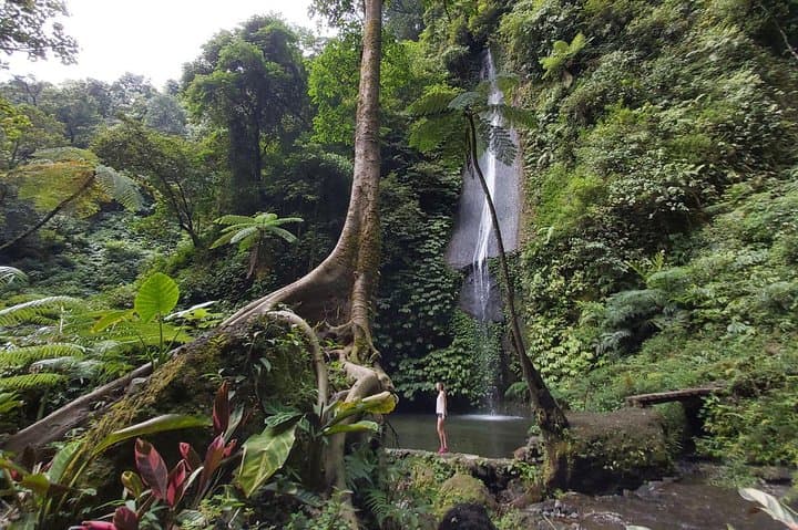wanagiri-waterfalls-trekking-day-trip-from-ubud photo 3