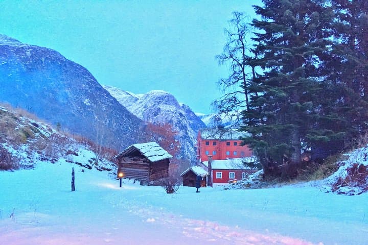 Private Guided World Heritage Fjord Landscape Tour from Flåm (Off-Season) photo 6