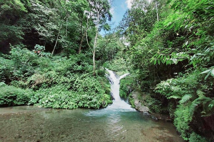 wanagiri-waterfalls-trekking-day-trip-from-ubud photo 2