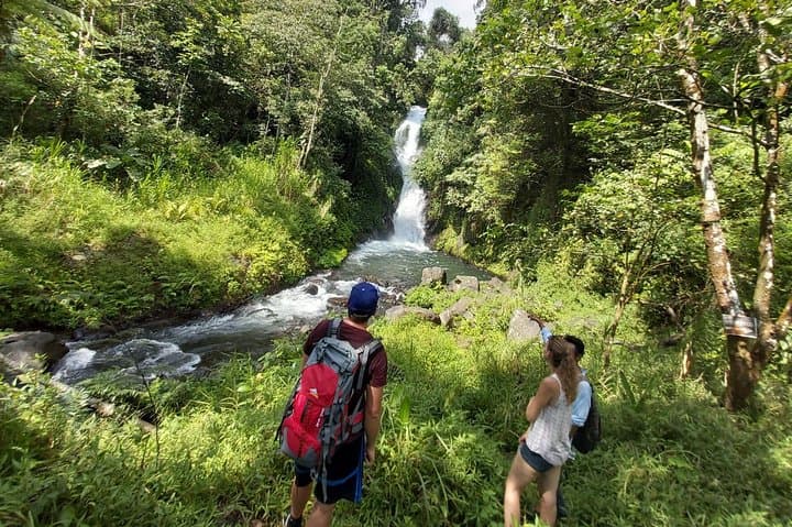 wanagiri-waterfalls-trekking-day-trip-from-ubud