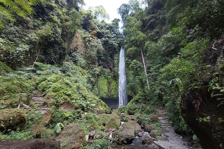 wanagiri-waterfalls-trekking-day-trip-from-ubud photo 4