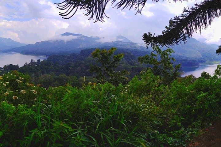wanagiri-waterfalls-trekking-day-trip-from-ubud photo 5