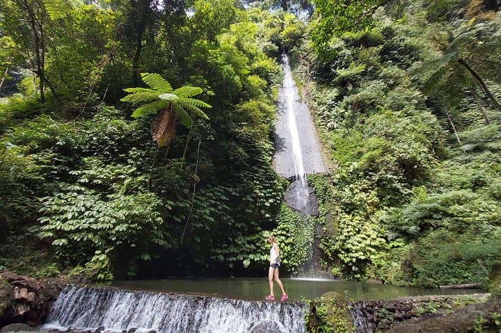 wanagiri-waterfalls-trekking-day-trip-from-ubud photo 6