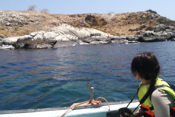 Zapallar Day Trip — Cerro La Cruz Hike, Cachagua Island & Local Seafood Tasting photo 1