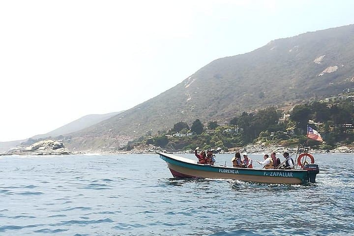 Zapallar Day Trip — Cerro La Cruz Hike, Cachagua Island & Local Seafood Tasting photo 4