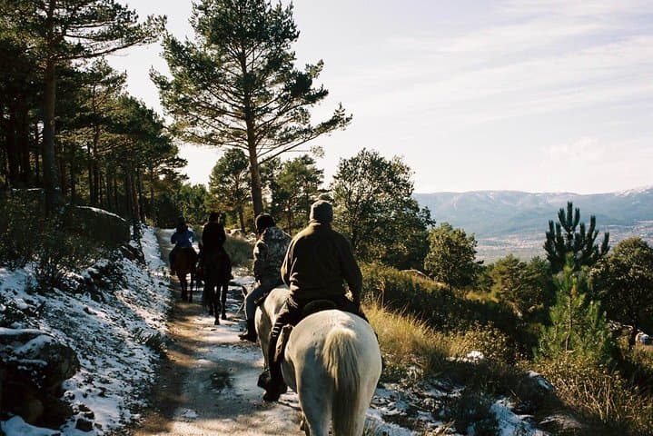Horseback Riding in Madrid's Sierra de Guadarrama — Half-Day Trail Ride photo 2