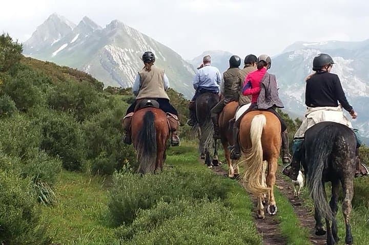 Horseback Riding in Madrid's Sierra de Guadarrama — Half-Day Trail Ride