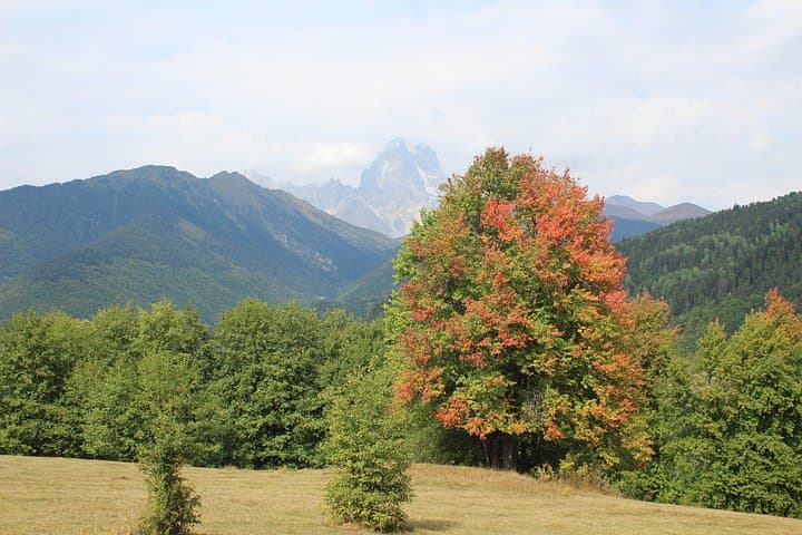 7-Day Svaneti Hiking Tour — Mestia to Ushguli Trek in the Caucasus photo 5