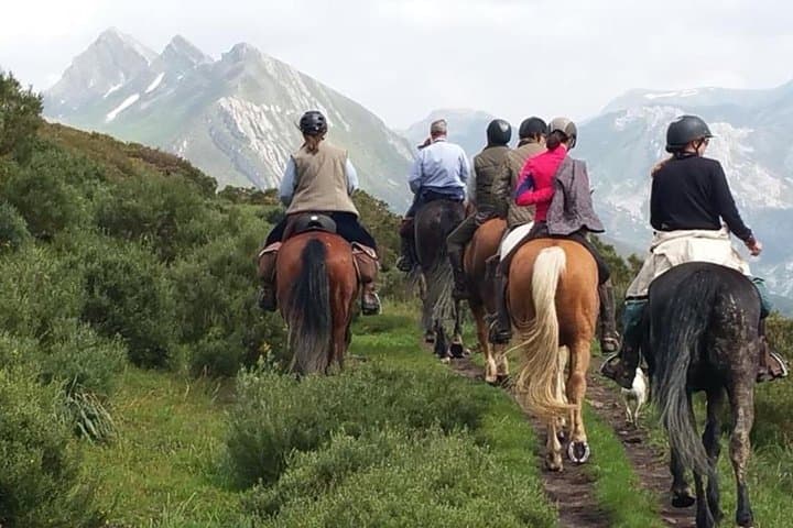 Horseback Riding in Sierra de Guadarrama: Long Trail from Madrid