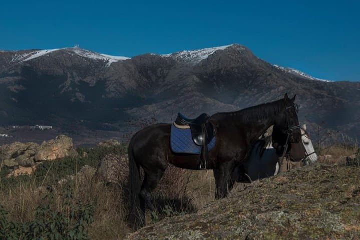 Horseback Riding in Sierra de Guadarrama: Long Trail from Madrid photo 5