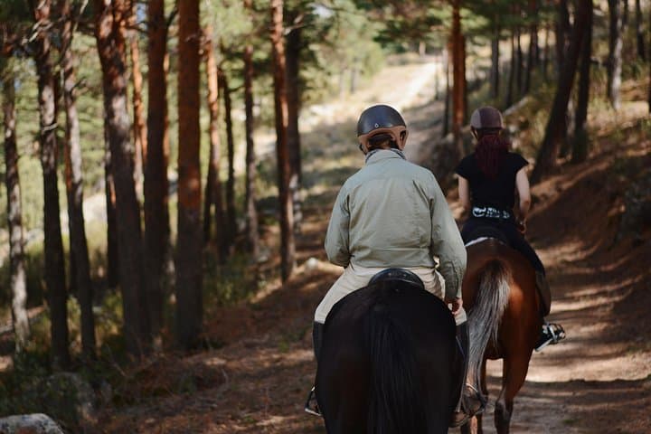 Horseback Riding in Sierra de Guadarrama: Long Trail from Madrid photo 6