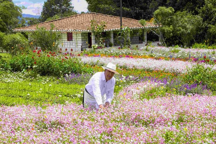 Medellín Santa Elena Silleteros & Arví Park: Full-Day Flowers and Farm Tour