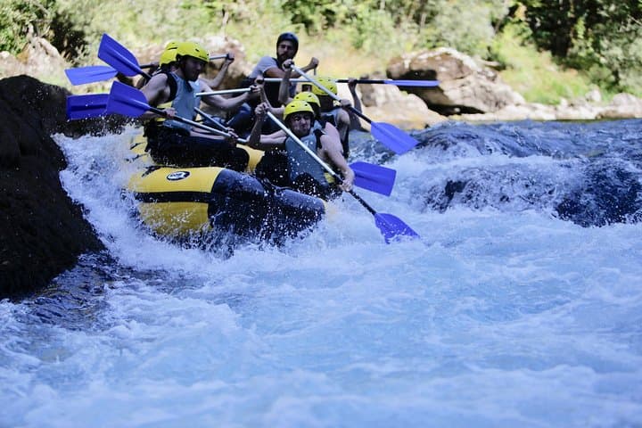 Tara River White Water Rafting from Kotor — Full-Day Through Europe's Deepest Canyon