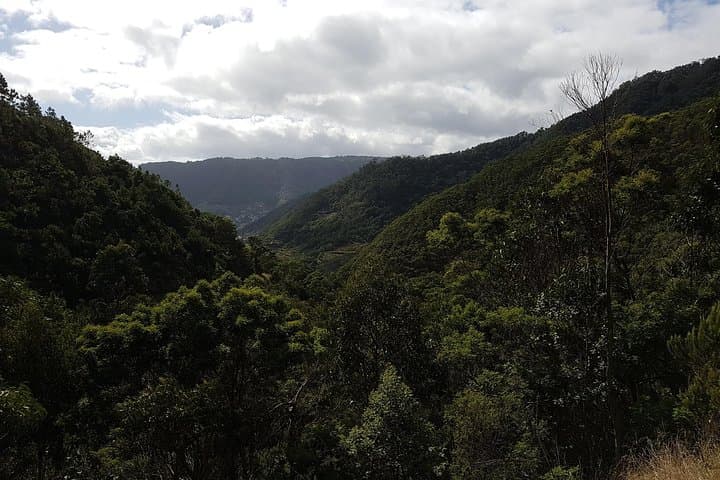 Vereda do Larano: Guided Walk from Machico to Porto da Cruz photo 5