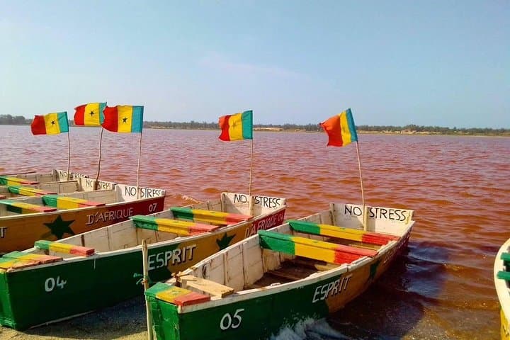 Bandia Park and Pink Lake Day Tour: Wildlife Safari and Lac Rose from Dakar photo 3