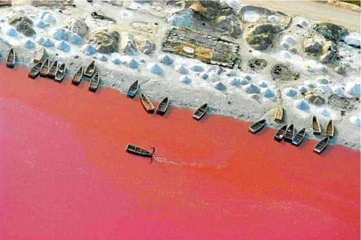 Bandia Park and Pink Lake Day Tour: Wildlife Safari and Lac Rose from Dakar photo 2
