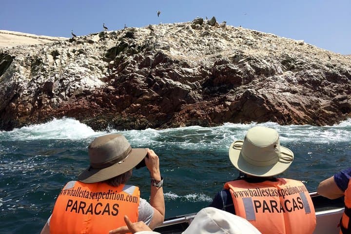 Paracas & Ballestas Islands Day Tour: Ballestas Islands, Paracas Reserve and the Candelabro photo 5