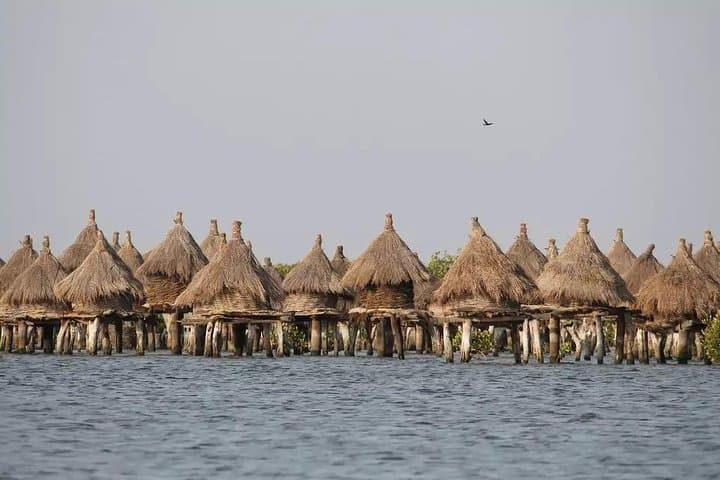 Discovery Senegal: 8-Day Cultural and Wildlife Circuit from Dakar photo 3