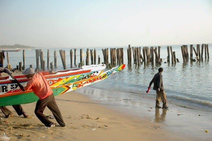 Discovery Senegal: 8-Day Cultural and Wildlife Circuit from Dakar photo 6