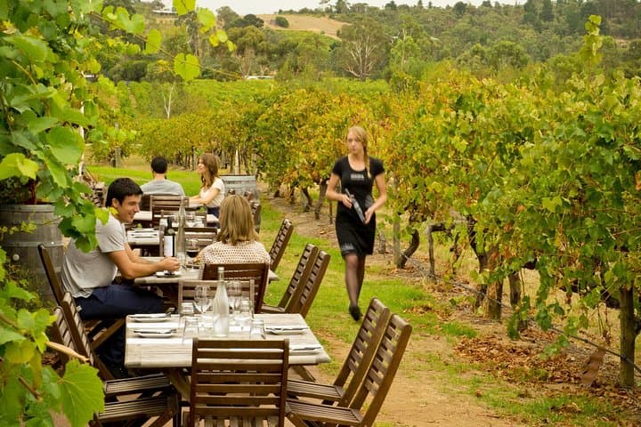 Mornington Peninsula Hot Springs & Winery Day Tour from Melbourne photo 2