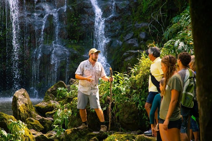 Kohala Zip and Dip Adventure on Hawaii’s Big Island: Zipline, Hike & Waterfall Swim photo 6