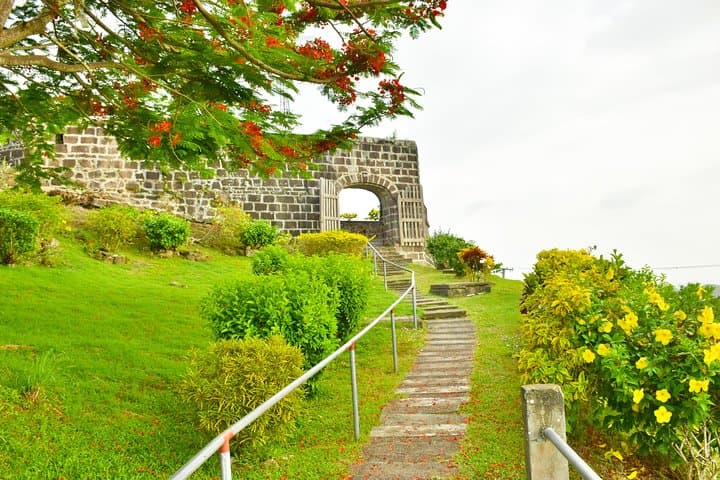 Grenada Herb & Spice Tour — Fort Frederick Views, Bean-to-Bar Chocolate & Annandale Falls photo 2